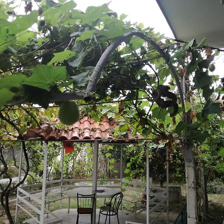 Villa Osmani ดูร์เรส ภายนอก รูปภาพ