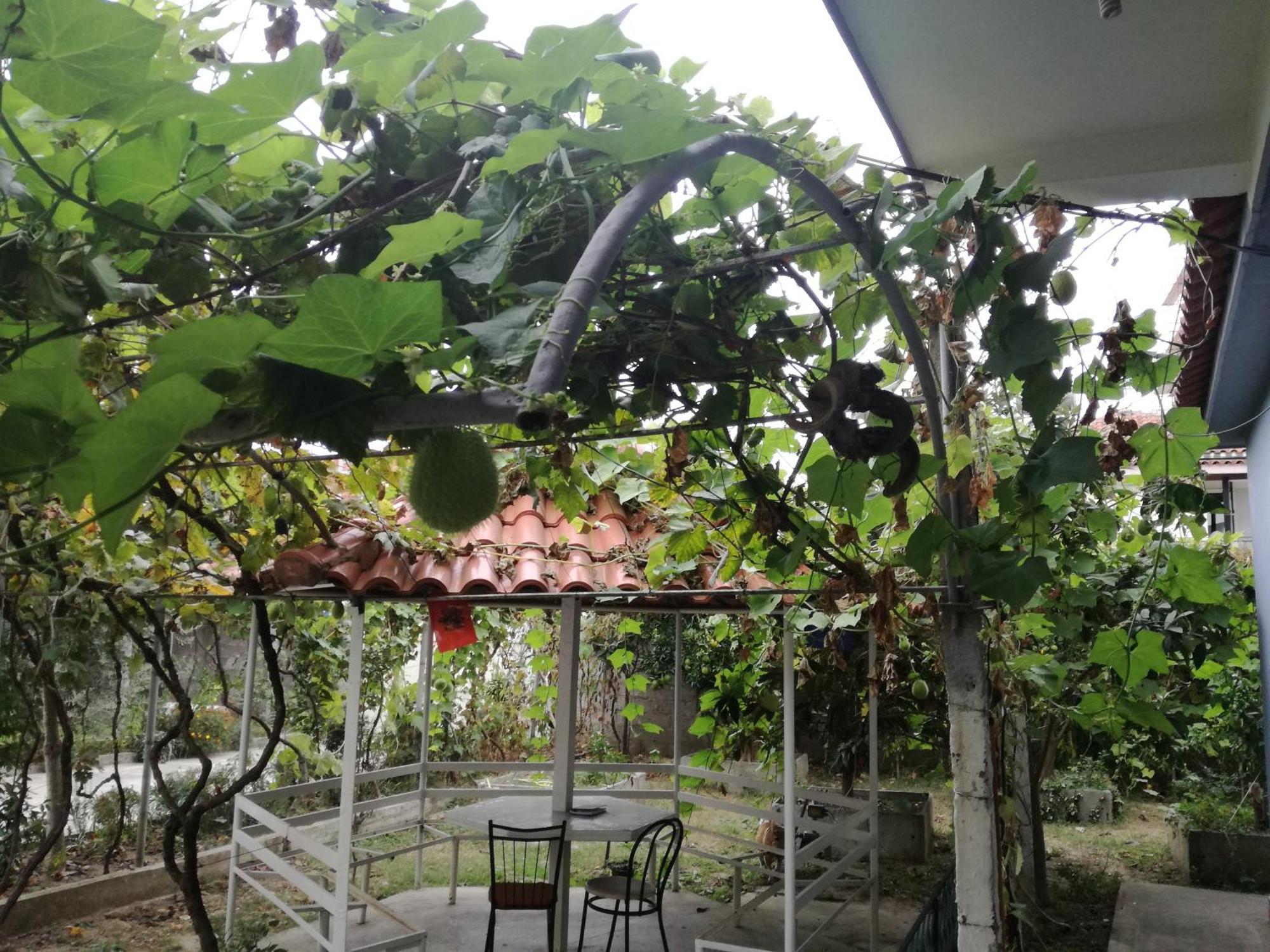 Villa Osmani ดูร์เรส ภายนอก รูปภาพ