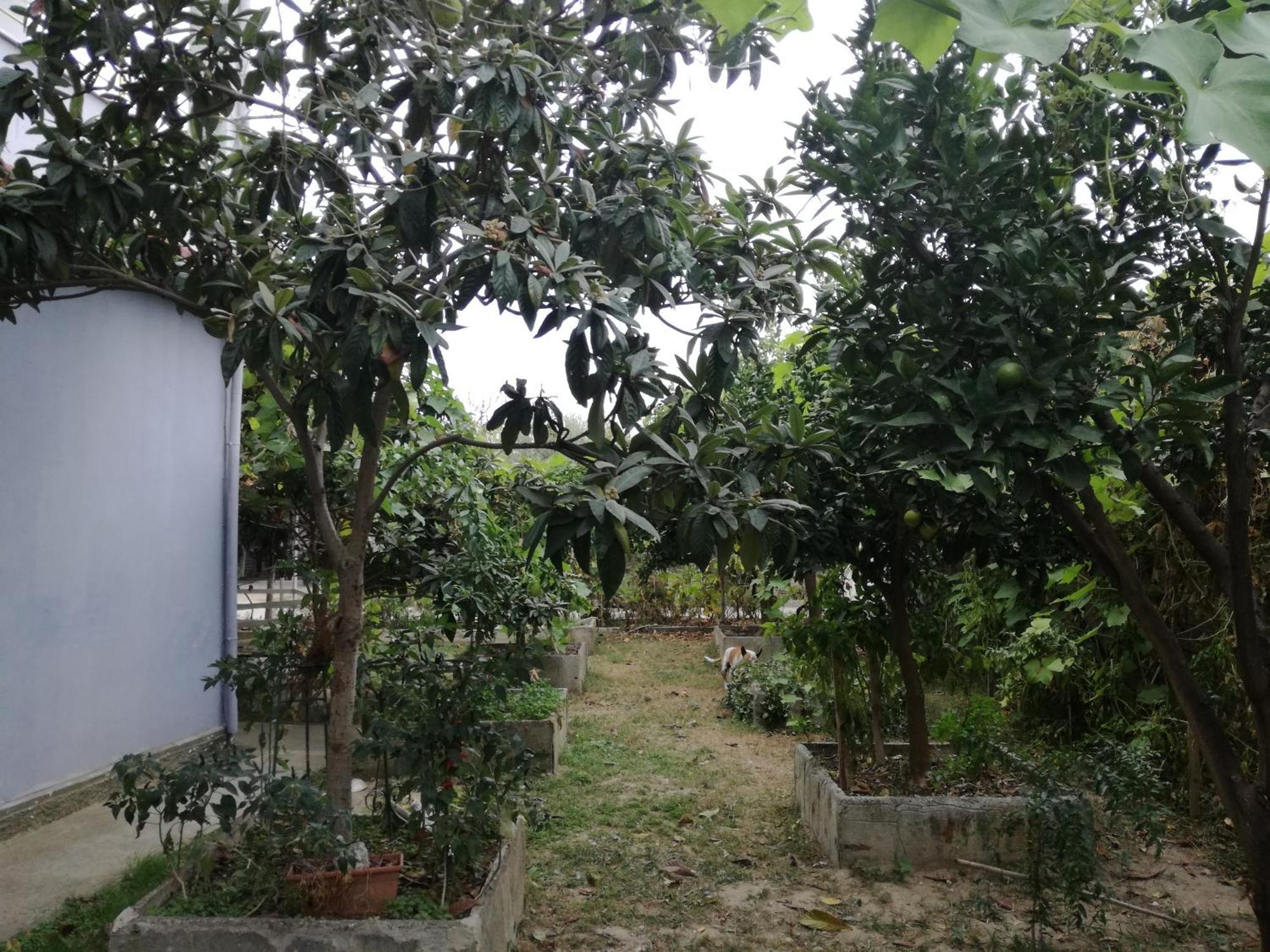 Villa Osmani ดูร์เรส ภายนอก รูปภาพ